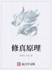 修真的方法和过程