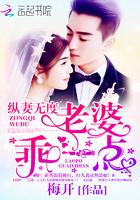 老婆乖一点肖若水写