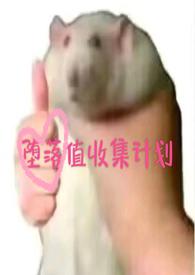 堕落0.6攻略